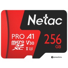 Карта памяти Netac 256GB 500 Extreme Pro NT02P500PRO-256G-R (с адаптером)
