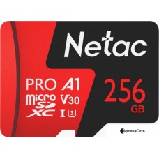 Карта памяти Netac P500 Extreme Pro 256GB NT02P500PRO-256G-S