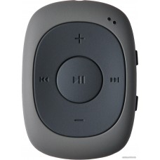 MP3 плеер Digma C2LG (серый) [367272]