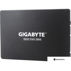 SSD Gigabyte 256GB GP-GSTFS31256GTND