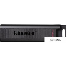 USB Flash Kingston DataTraveler Max Type-C 256GB