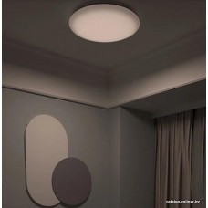 Светильник-тарелка Yeelight Arwen Ceiling Light 550C YLXD013-C