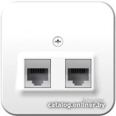 Розетка компьютерная Schneider Electric Blanca BLNIA045111
